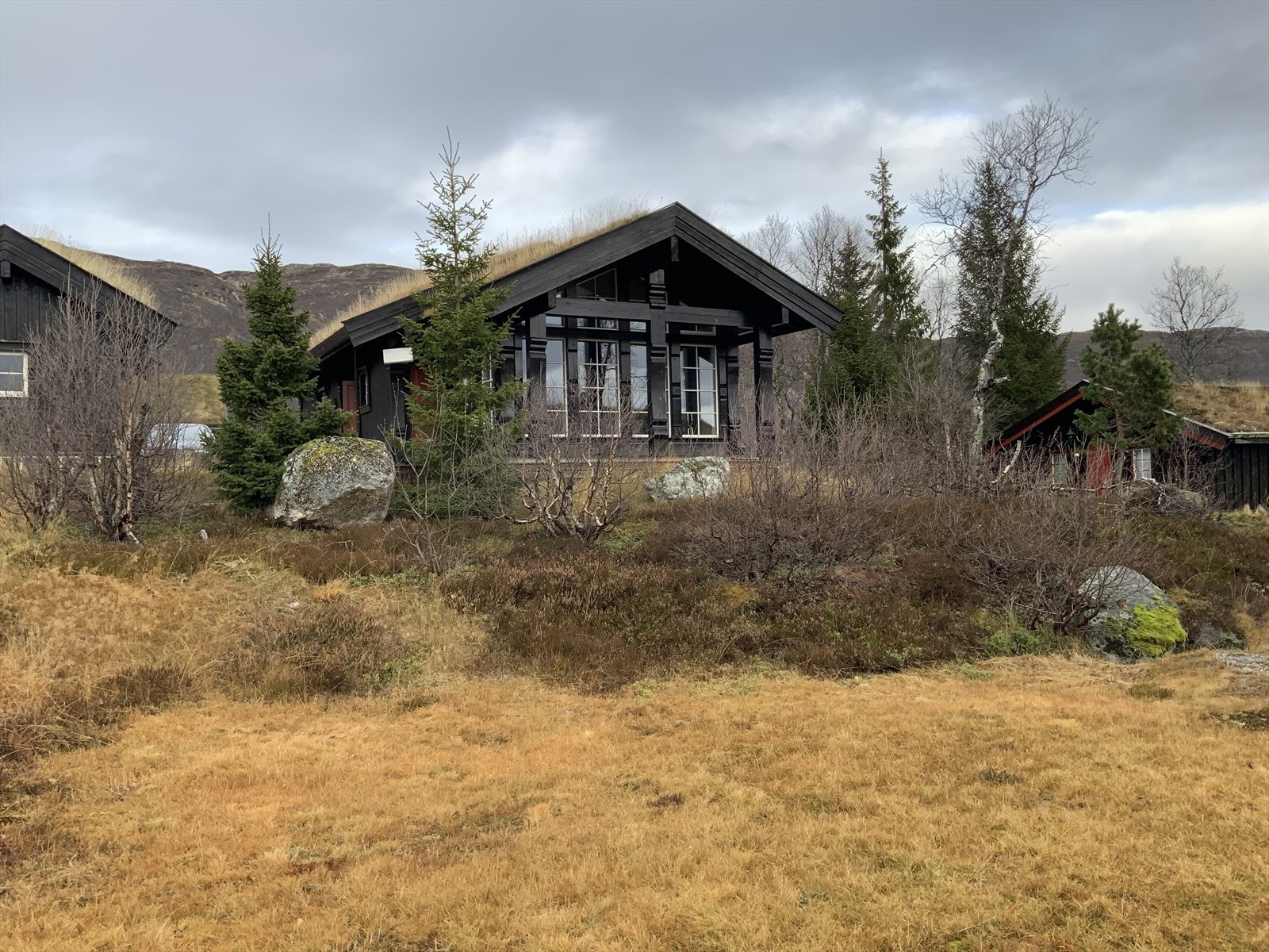 Velkommen til Arbulii 20 Galleribilde