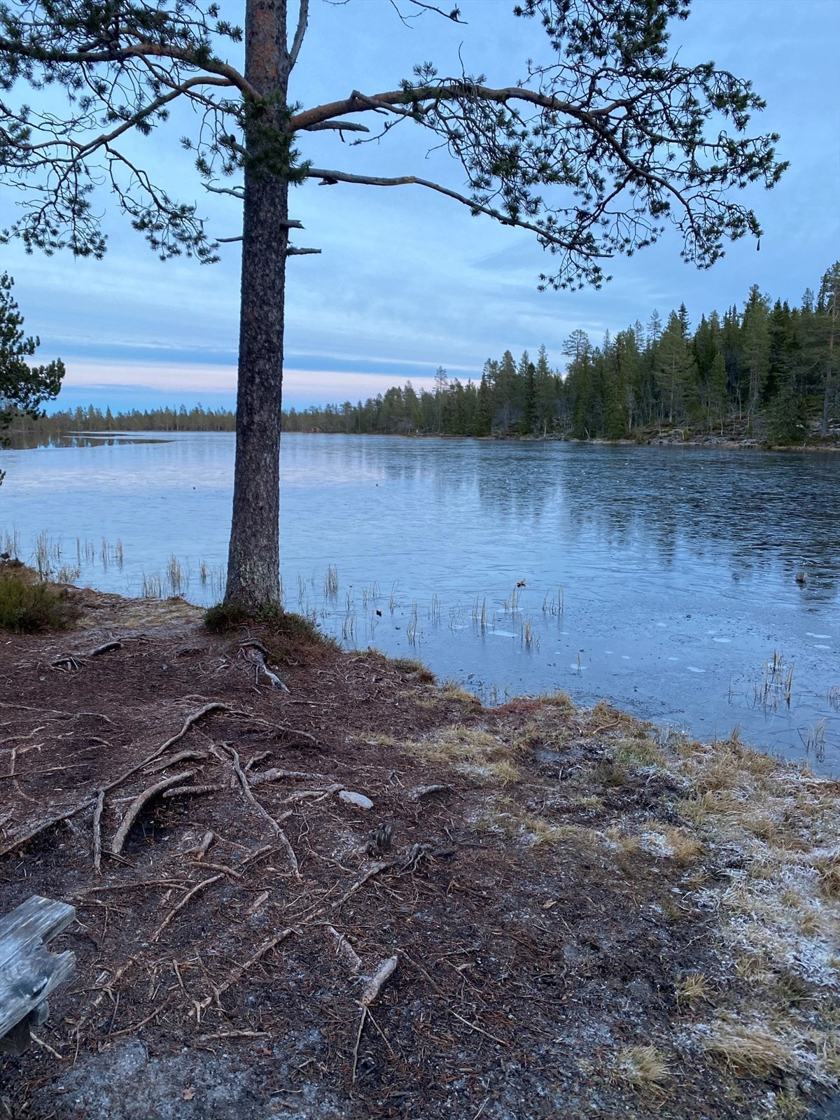 Granåstjennet - et flott ørretvann i kort gåavstand fra hytten. Privat bilde Galleribilde