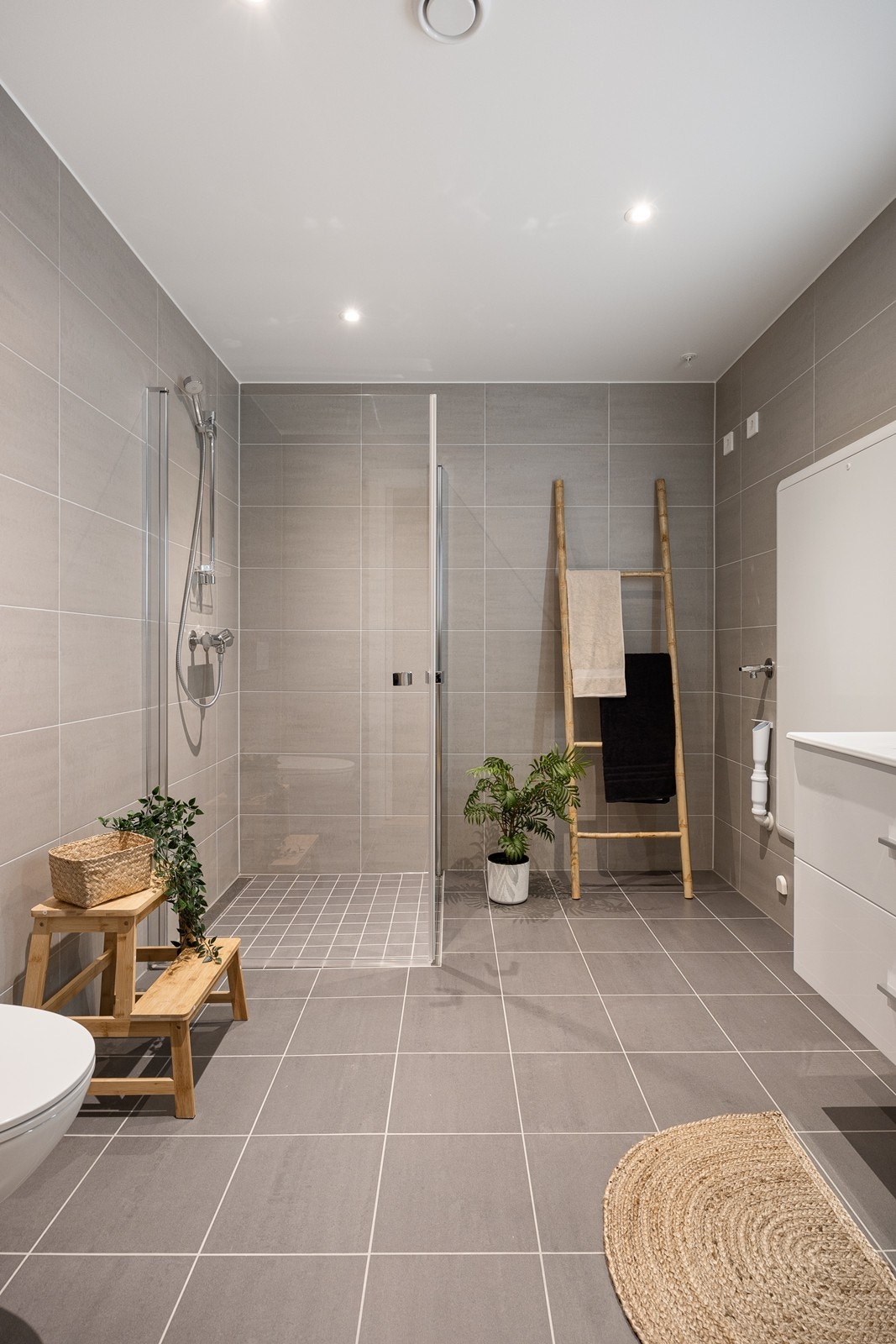 Dusjhjørne i aluminium og glass med hånddusj på stang. Vegghengt toalett i hvit utførelse Galleribilde