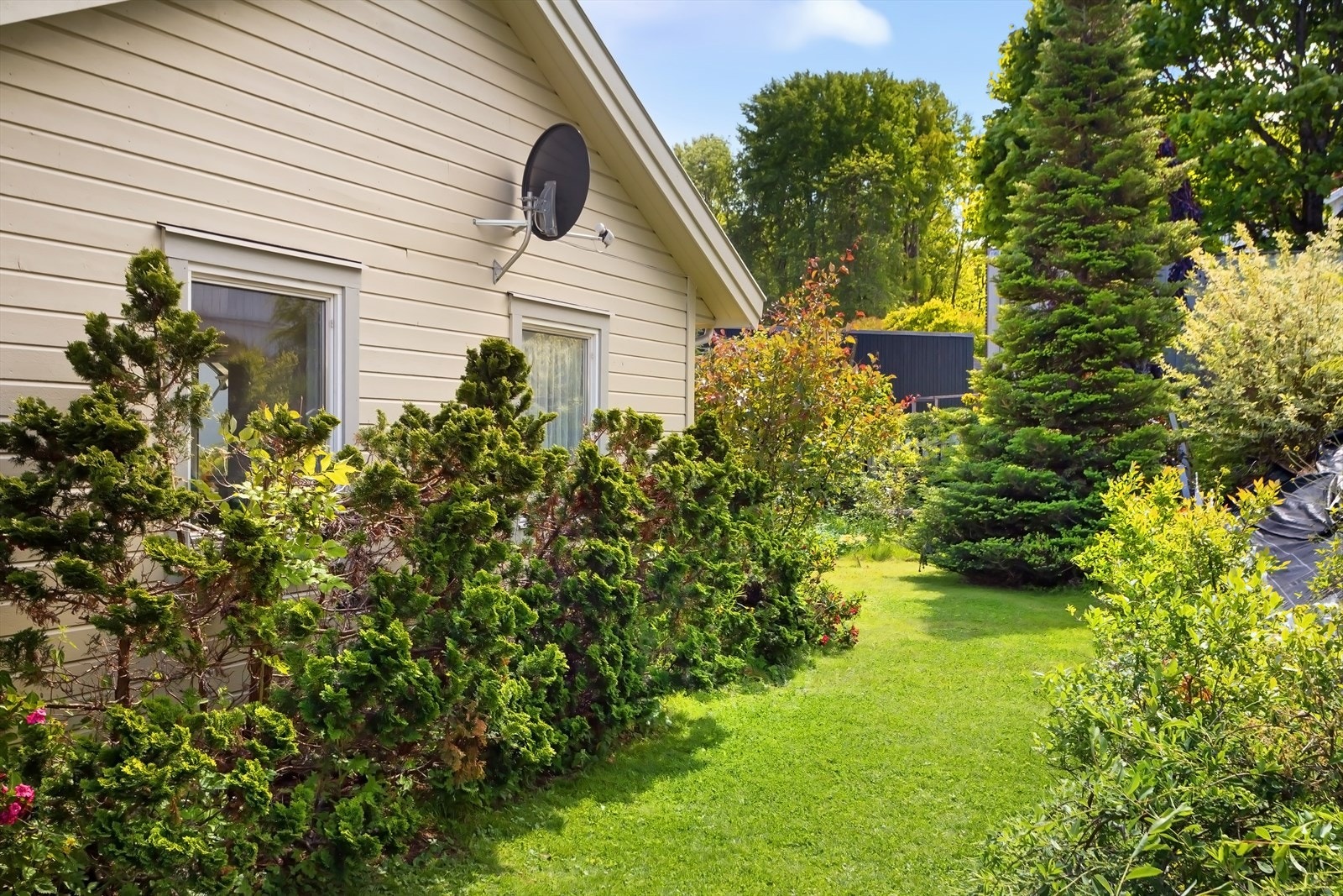 Fra hagen Galleribilde