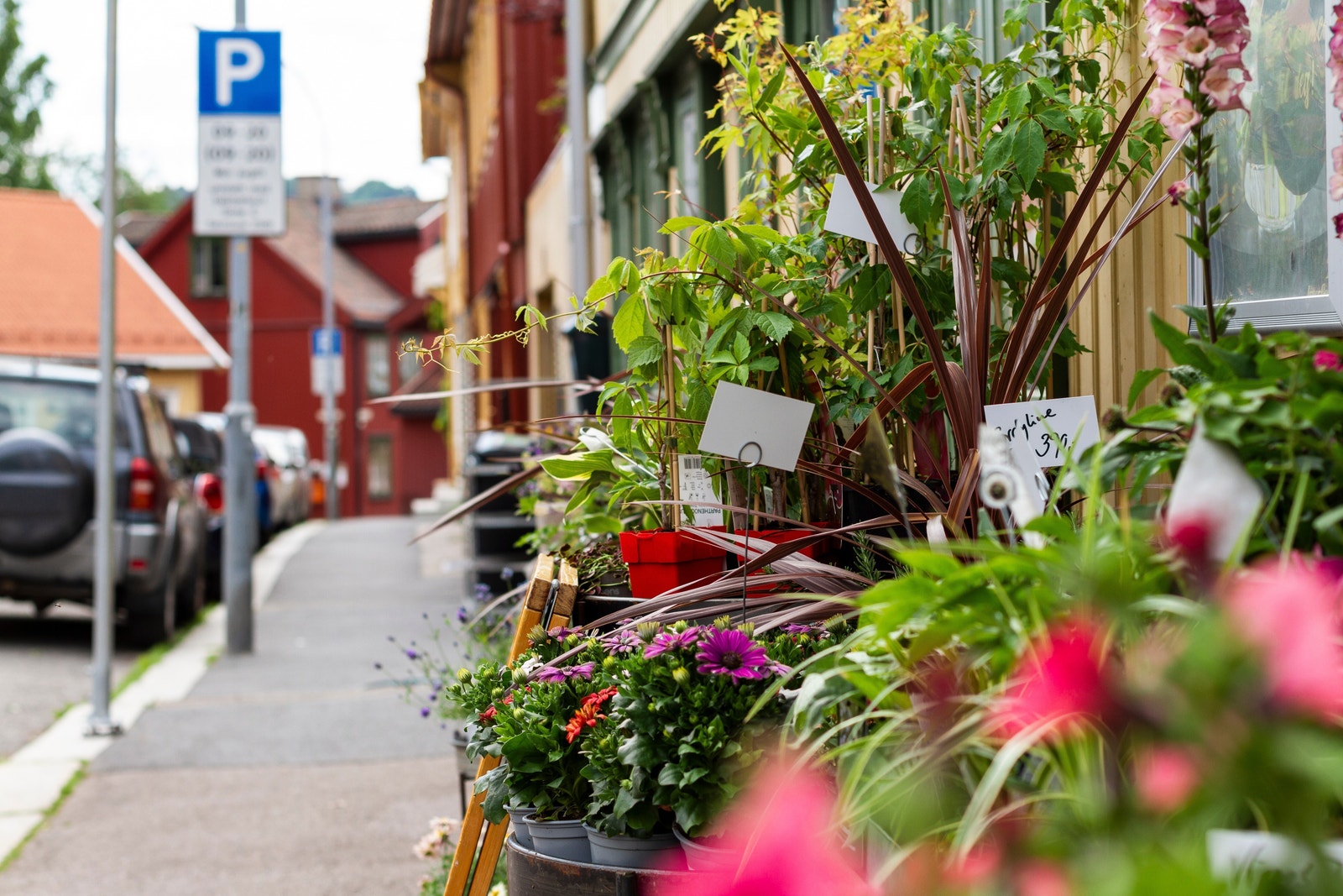 Flere koselige tilbud i område Galleribilde