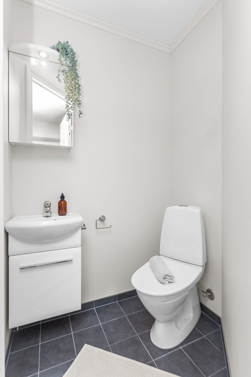 Toalettrom i hovedetasje. Galleribilde