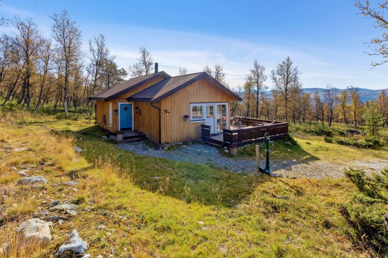 Hytta er kledd med stående slettpanel behandlet med linolje og har tak av Alvdal Royal tretak. Galleribilde