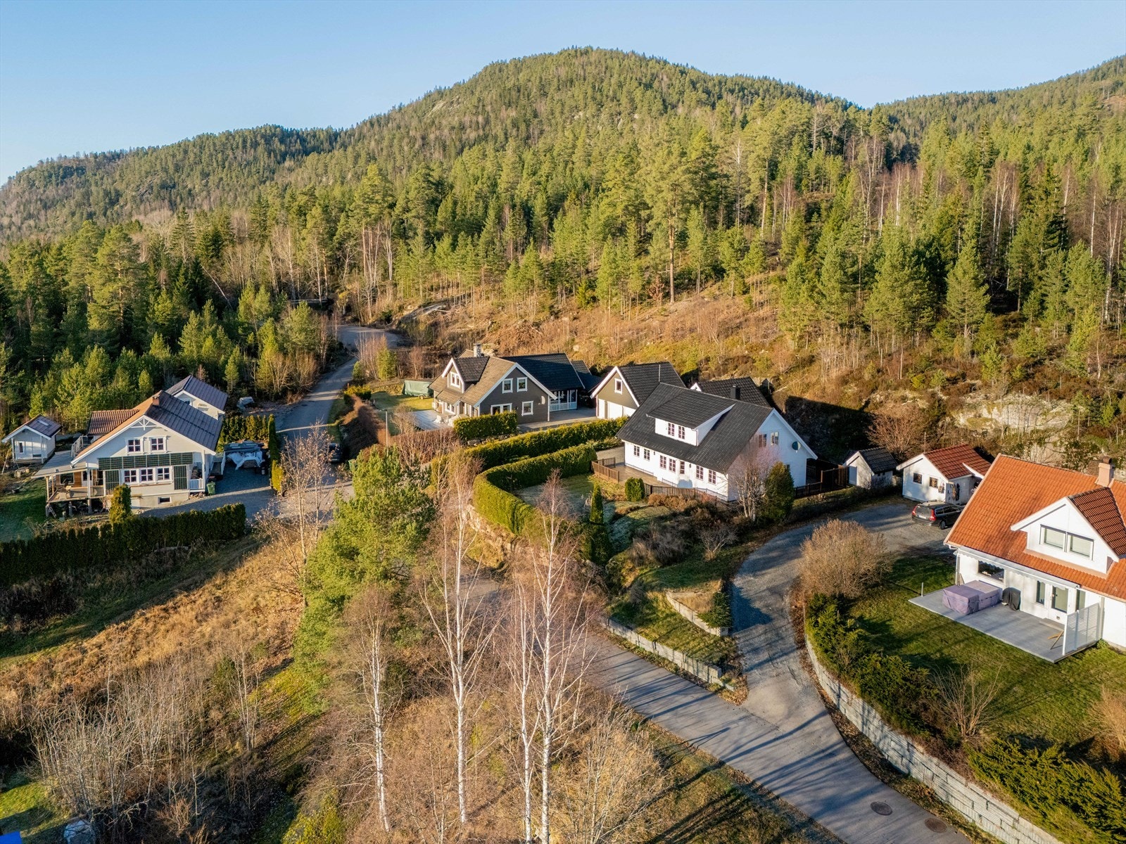 Dronefoto Galleribilde