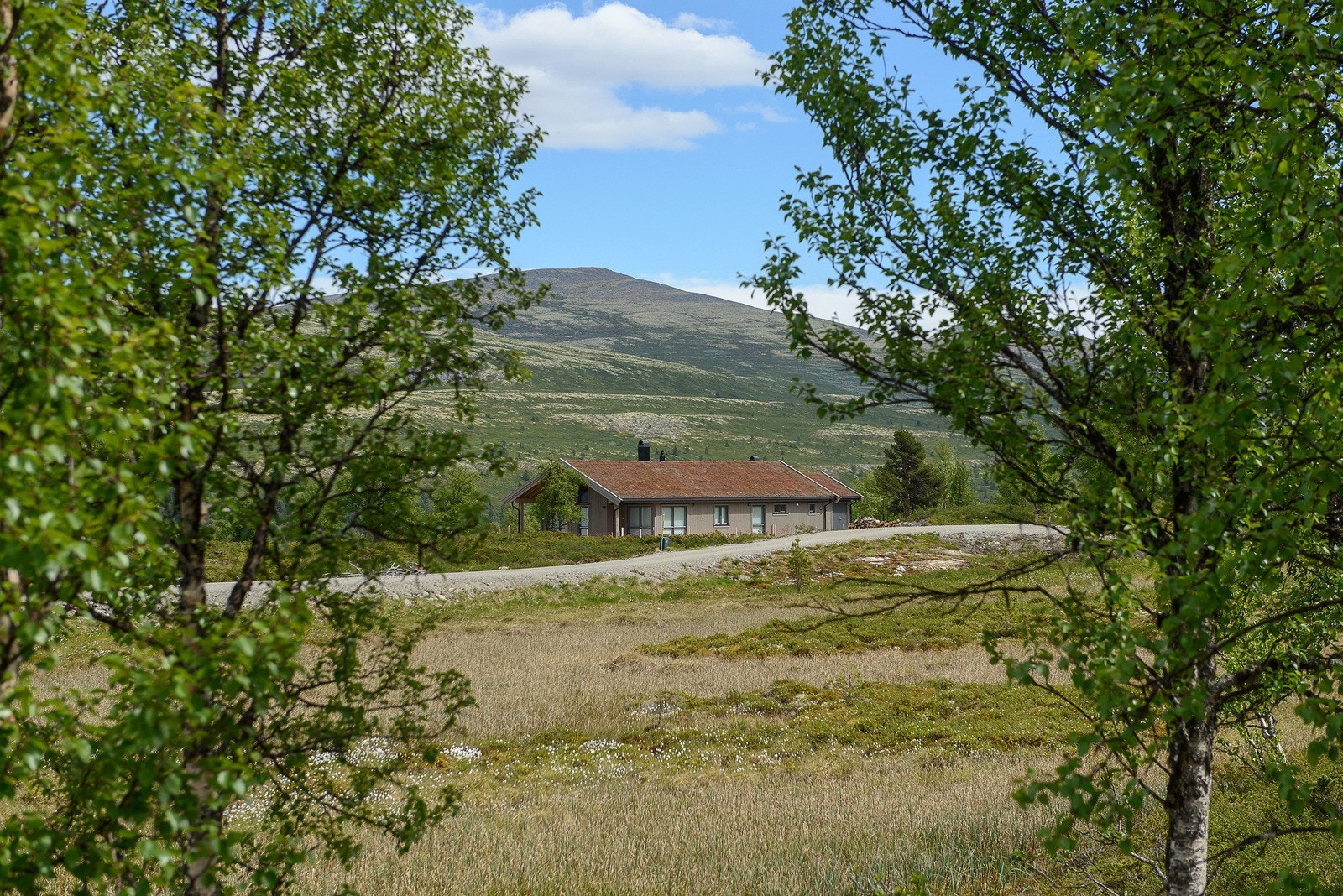 Tinde hytte på feltet Galleribilde
