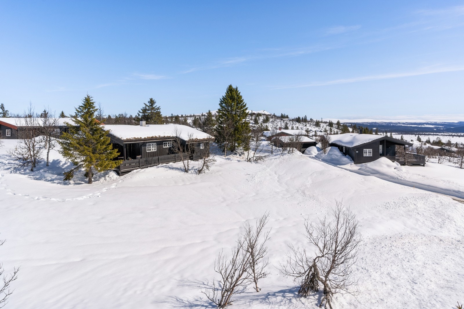 Både Venabygdsfjellet og Rondane har turmål av de sjeldne, og byr på flotte opplevelser og aktiviteter - sommer som vinter. Galleribilde