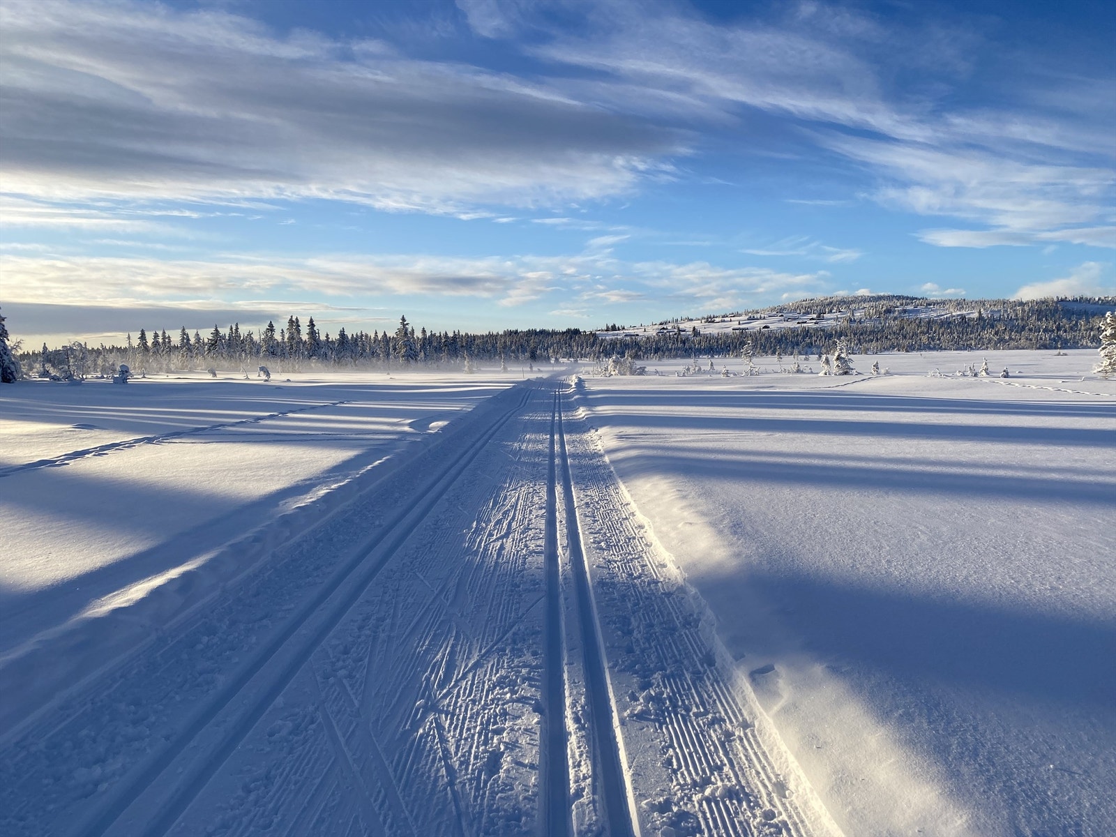 Vinterbilde. Galleribilde