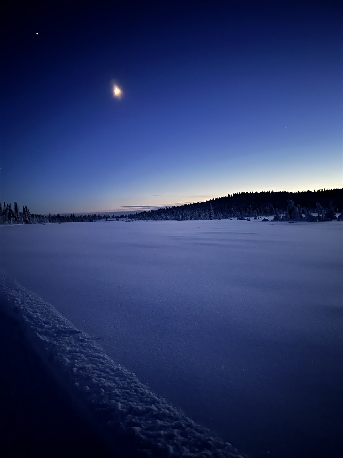 Vinterbilde. Galleribilde