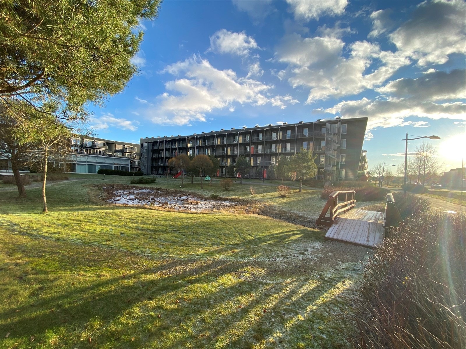 Uteområde i vakker høstsol. Galleribilde