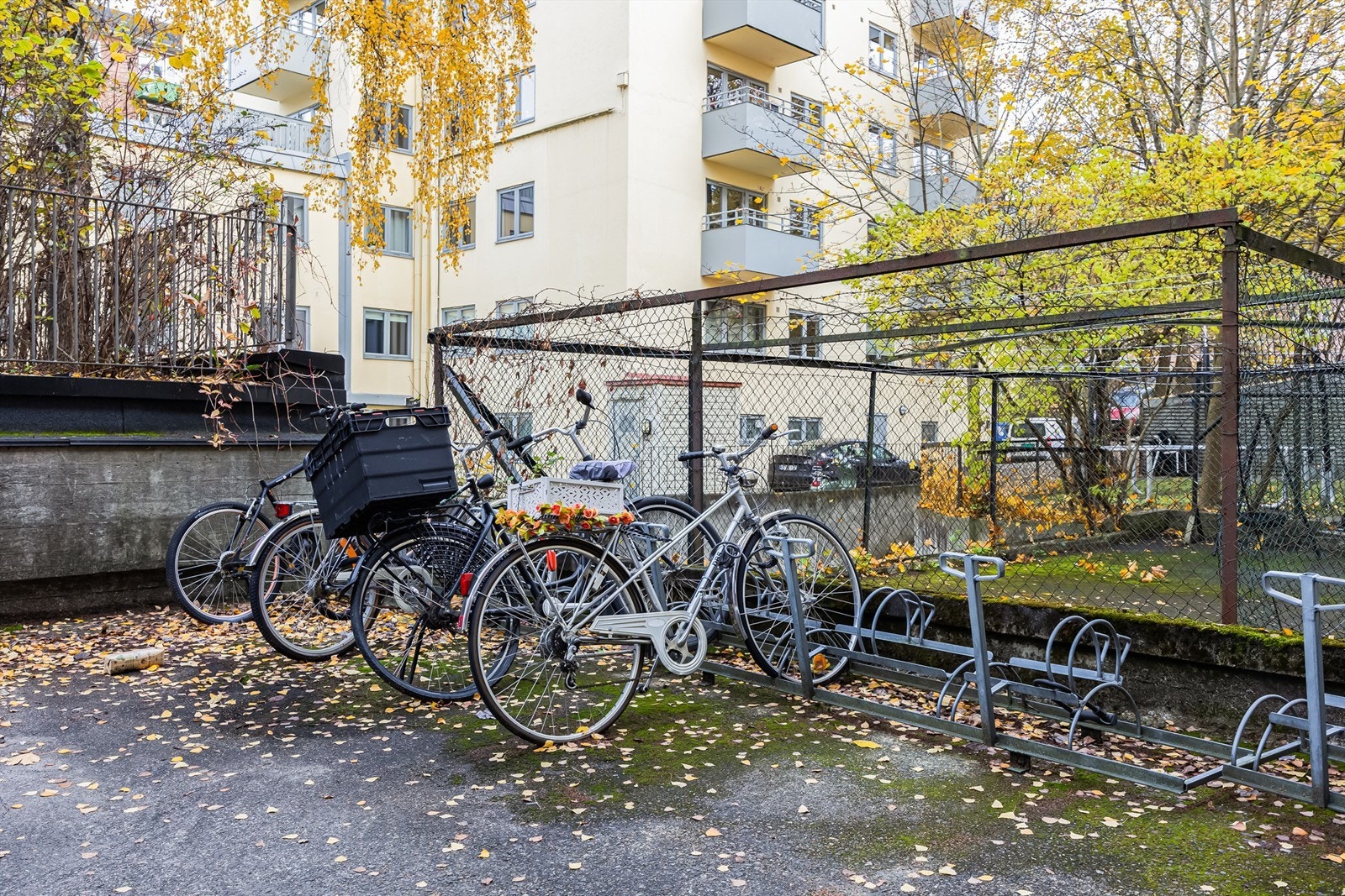 Sykkelparkering. Galleribilde