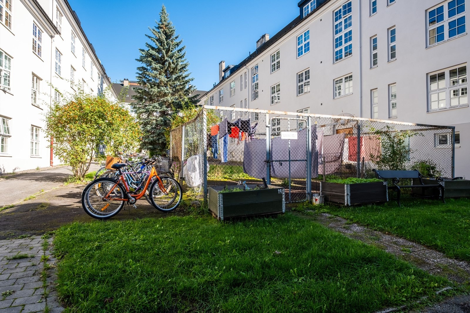 Hengekøyestativ og sykkelparkering. Galleribilde