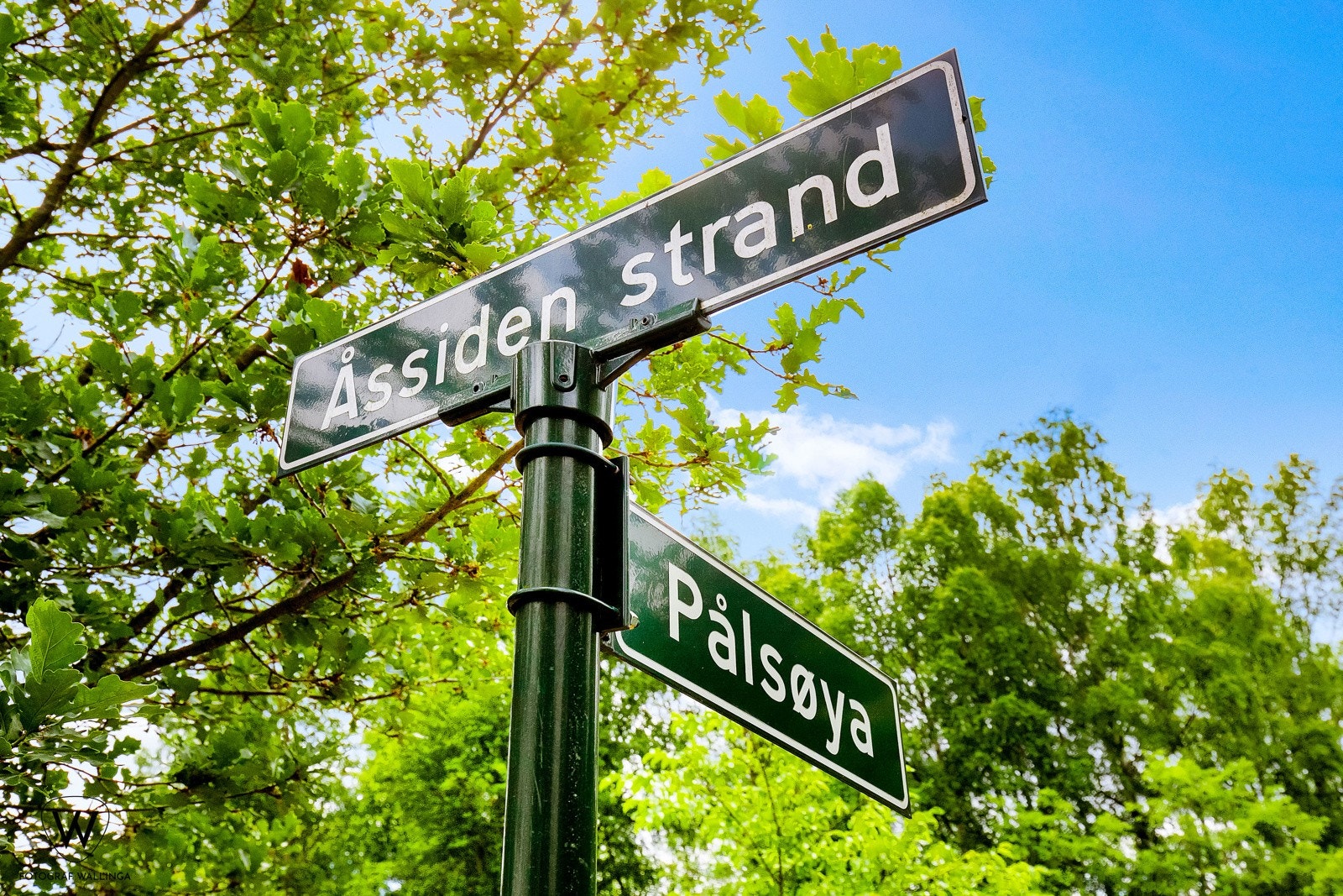 Åssiden elvepark. Galleribilde