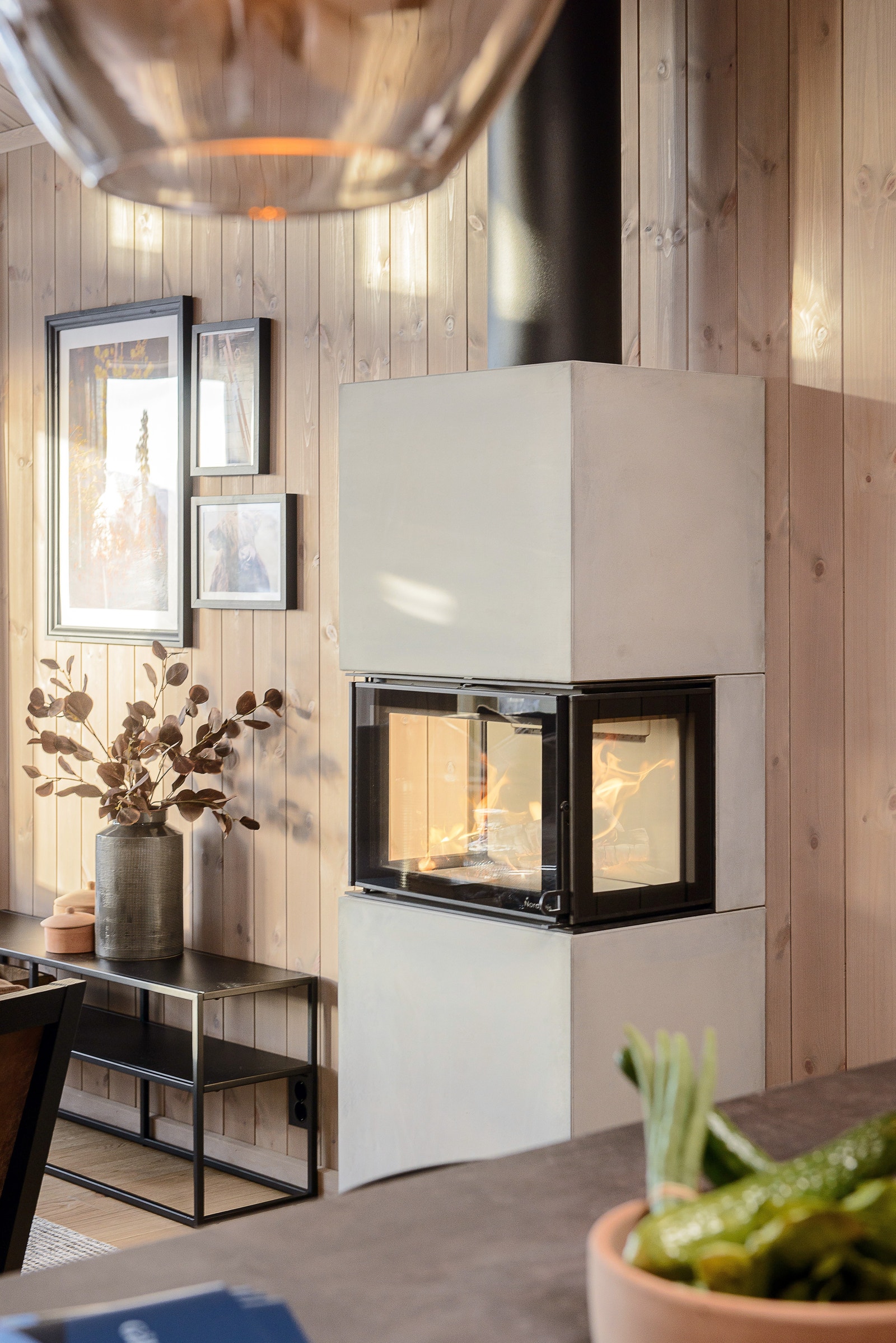 Peisovnen Cannes Galleribilde