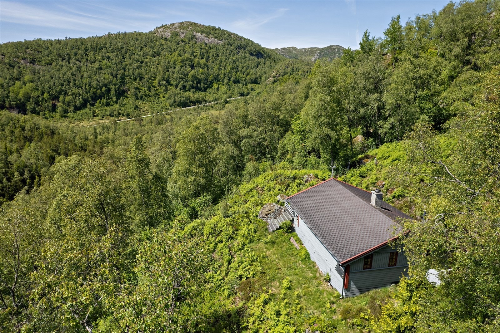 Områdebilde Galleribilde