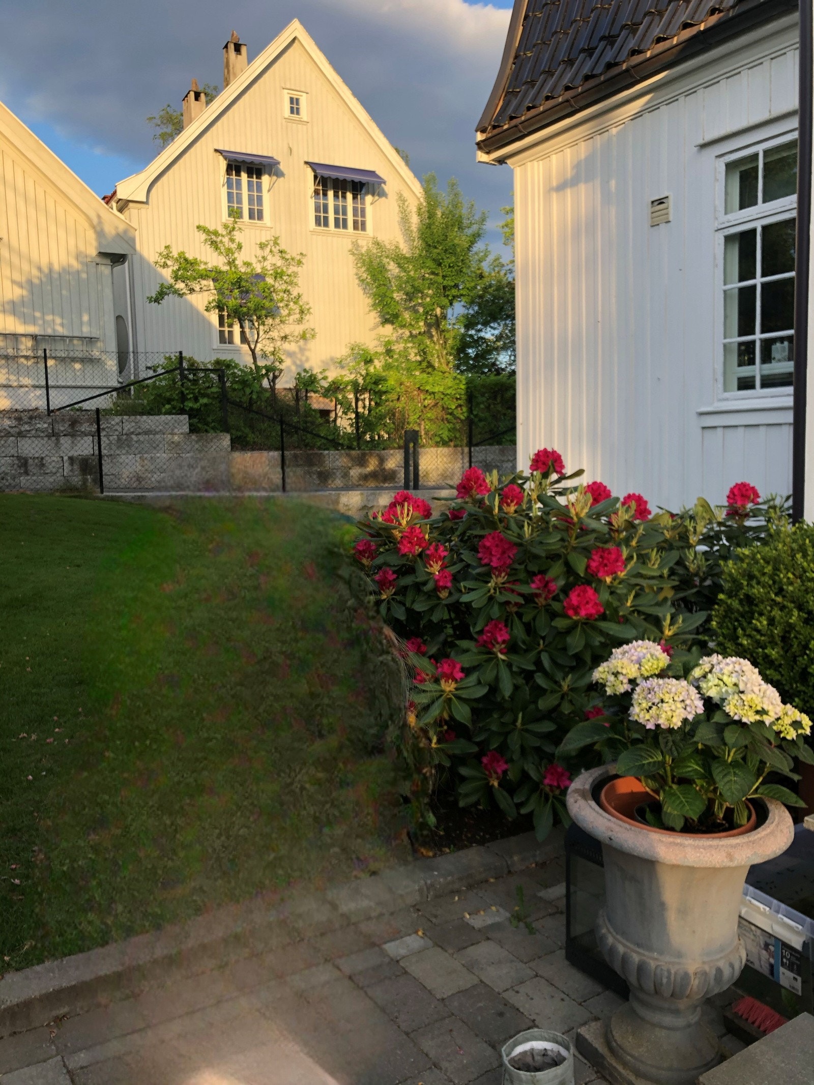 Selgers private sommerbilde