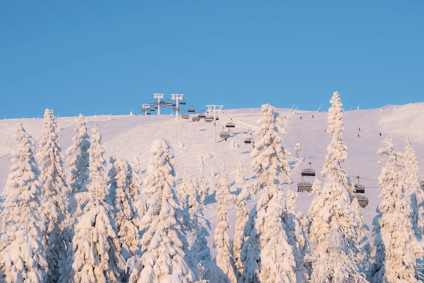 Trysilfjellet er kjent for å være snøsikkert og en god infrastruktur på både heiser og skibakker. Nytt av året er gondolen som starter like ved leligheten Galleribilde