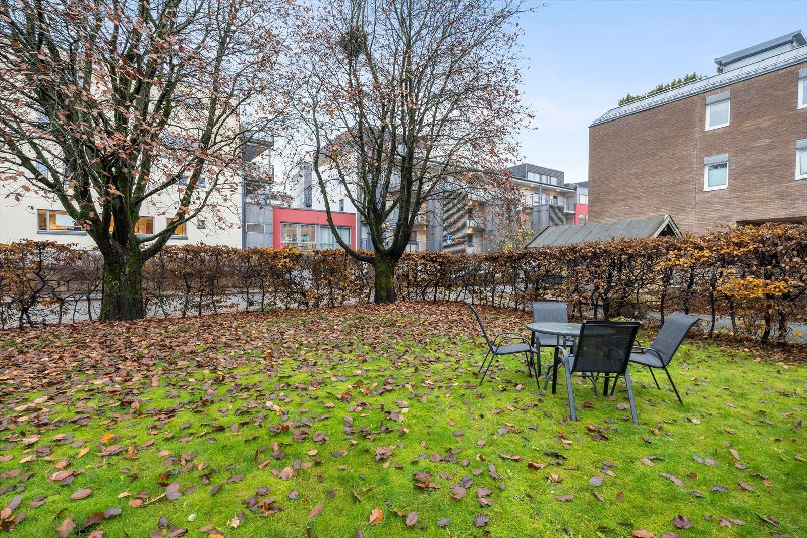 Stor felles hage Galleribilde