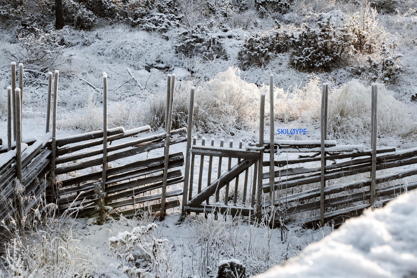 Skiløypen ligger rett ved tomtegrense. Galleribilde