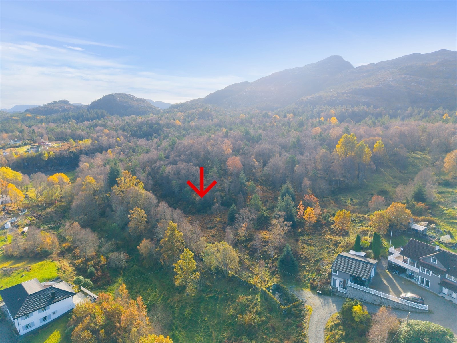 Stor naturtomt i landlige omgivelser Galleribilde