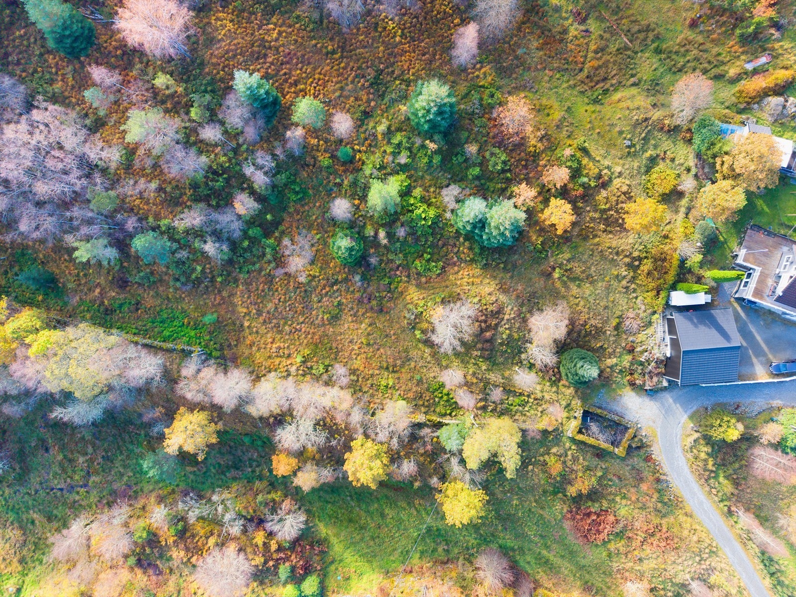 Stor tomt på over 1,9 mål Galleribilde