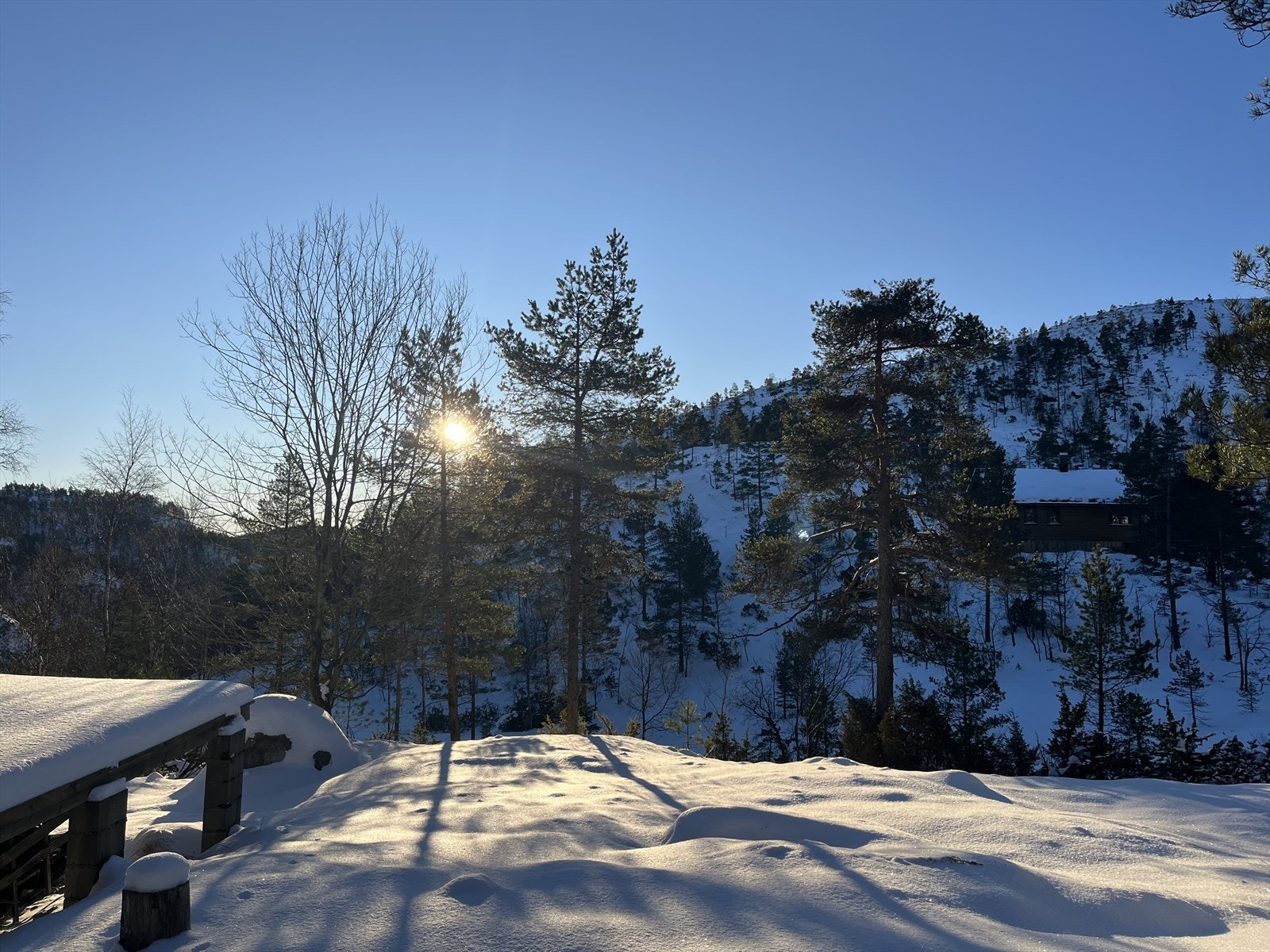 Vinterbilder fra selger Galleribilde