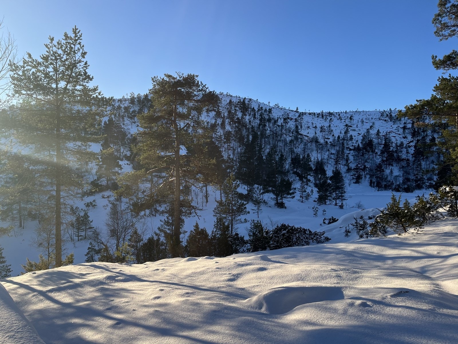 Vinterbilder fra selger Galleribilde