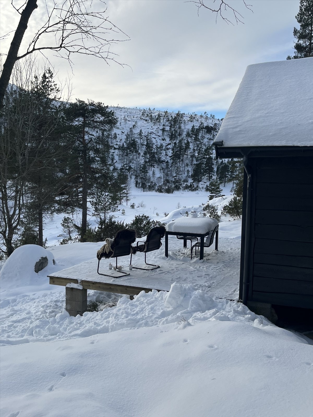 Vinterbilder fra selger Galleribilde