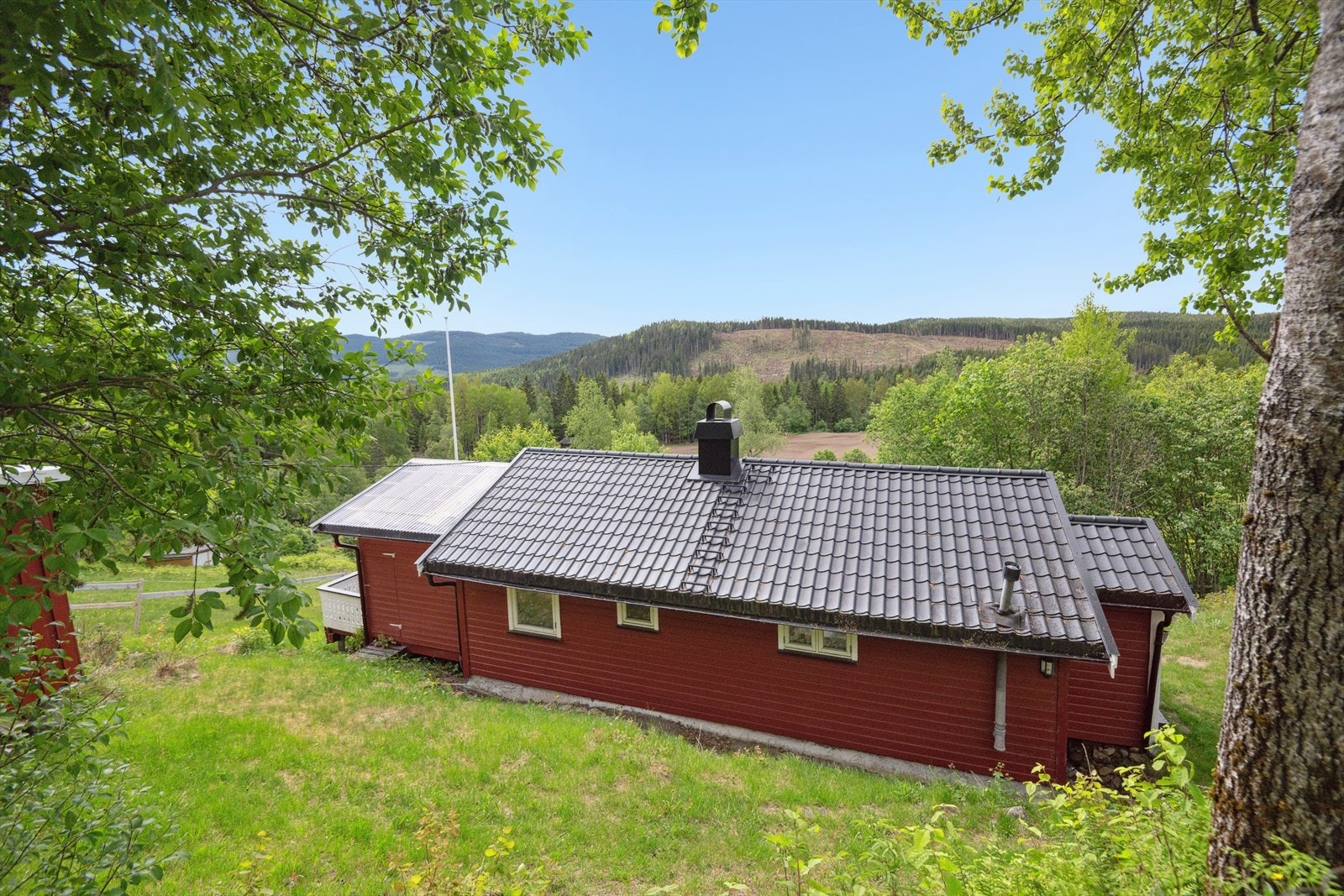 Velkommen til en hyggelig visning! Galleribilde