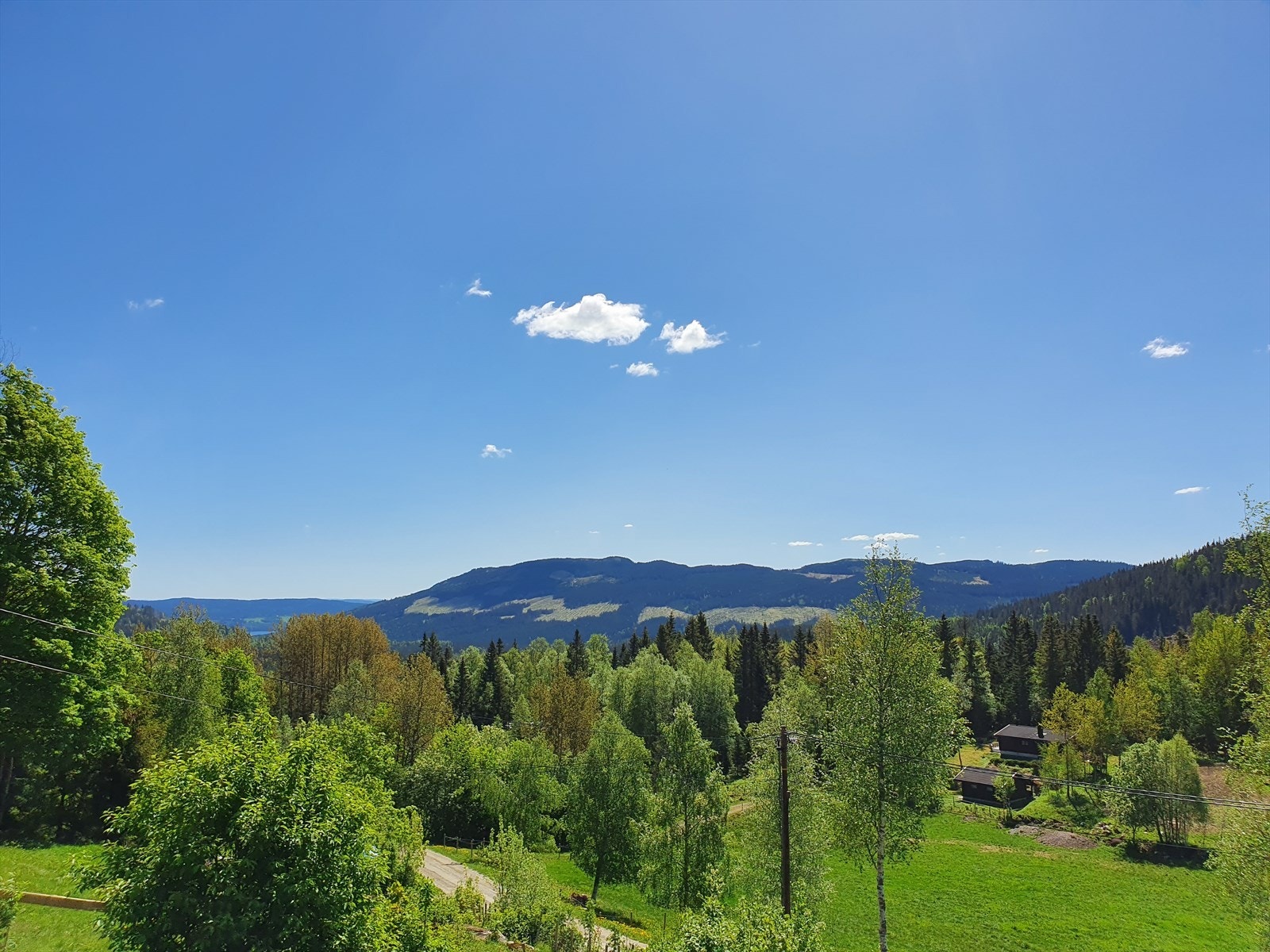 Selgers private bilder. Galleribilde