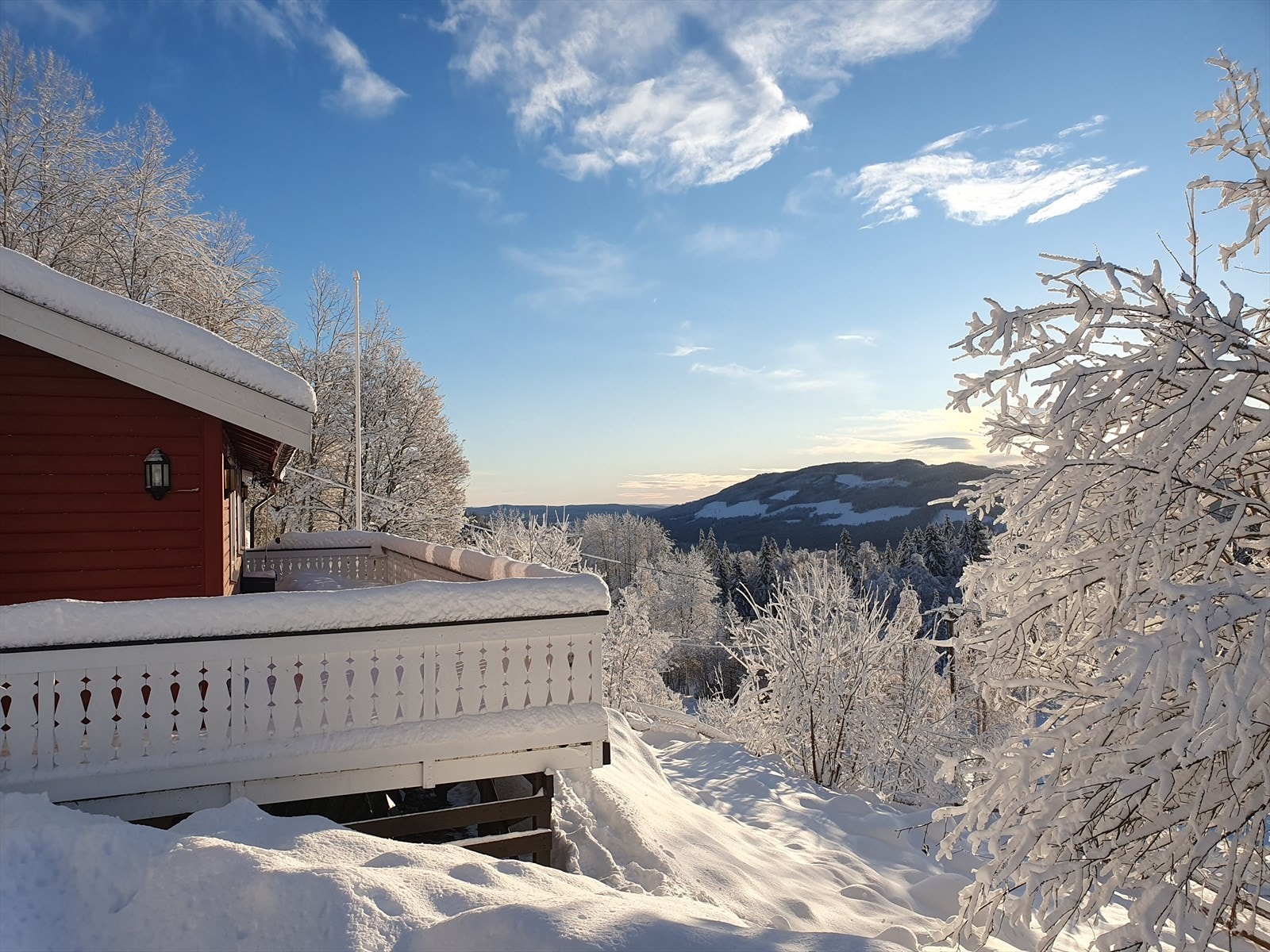 Selgers private bilder. Galleribilde