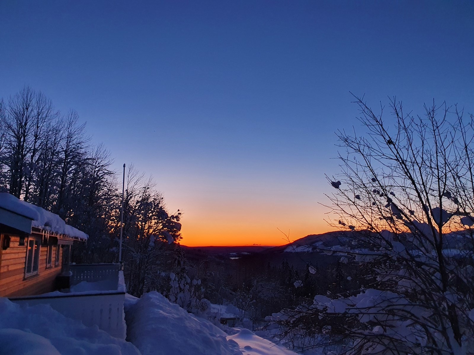 Selgers private bilder. Galleribilde