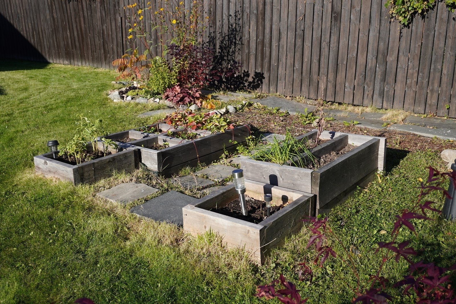 Nydelig grønnsakshage for den som vil dyrke selv (selgers private bilde) Galleribilde