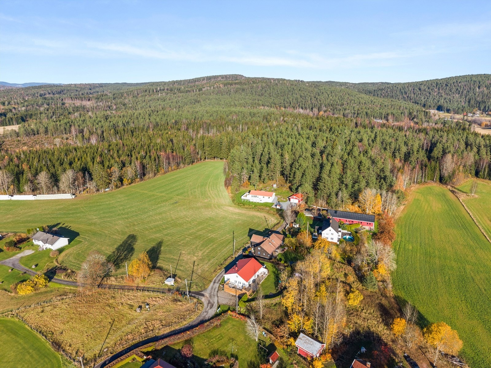 Her bor du med marka som en av dine nærmeste naboer Galleribilde