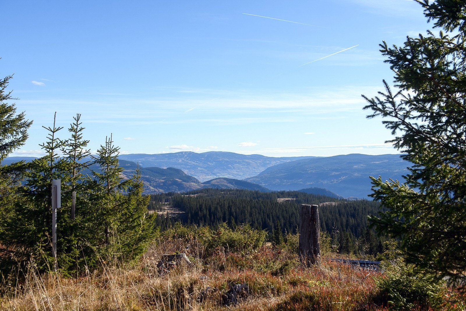 Det kan bygges inntil 3 enheter på hyttetomta: Hytte, anneks og uthus/garasje. Utsikt rett mot bl.a. Hafjell. Galleribilde