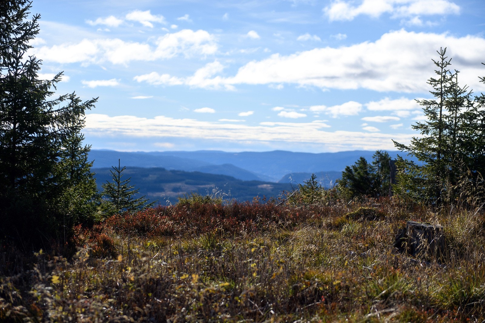 Pliktig medlemskap i velforeningen Musdalseter Hyttegrends Velforening, Tretten vestside løypeforening og veg- og brøytekostnader til Musdalseter Hyttegrend. Galleribilde
