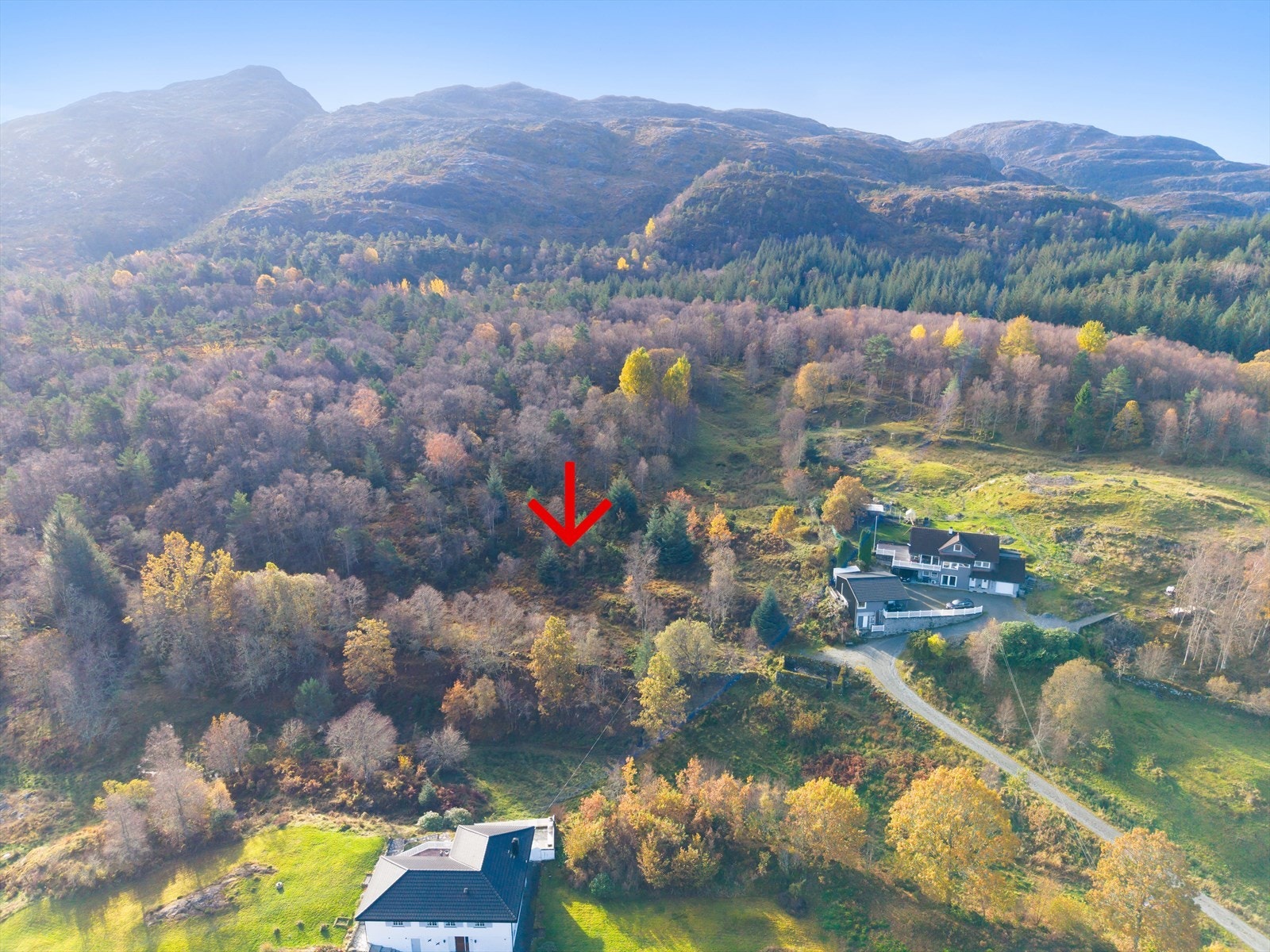 Veirett på stikkvei fra Skjelangervegen. Galleribilde