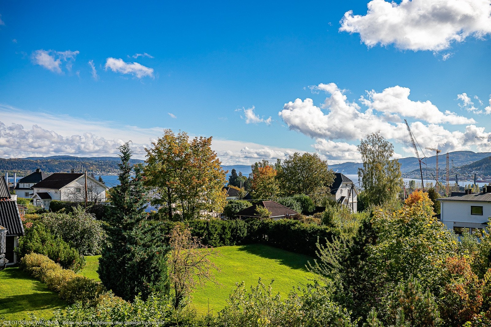 Flott utsikt Galleribilde