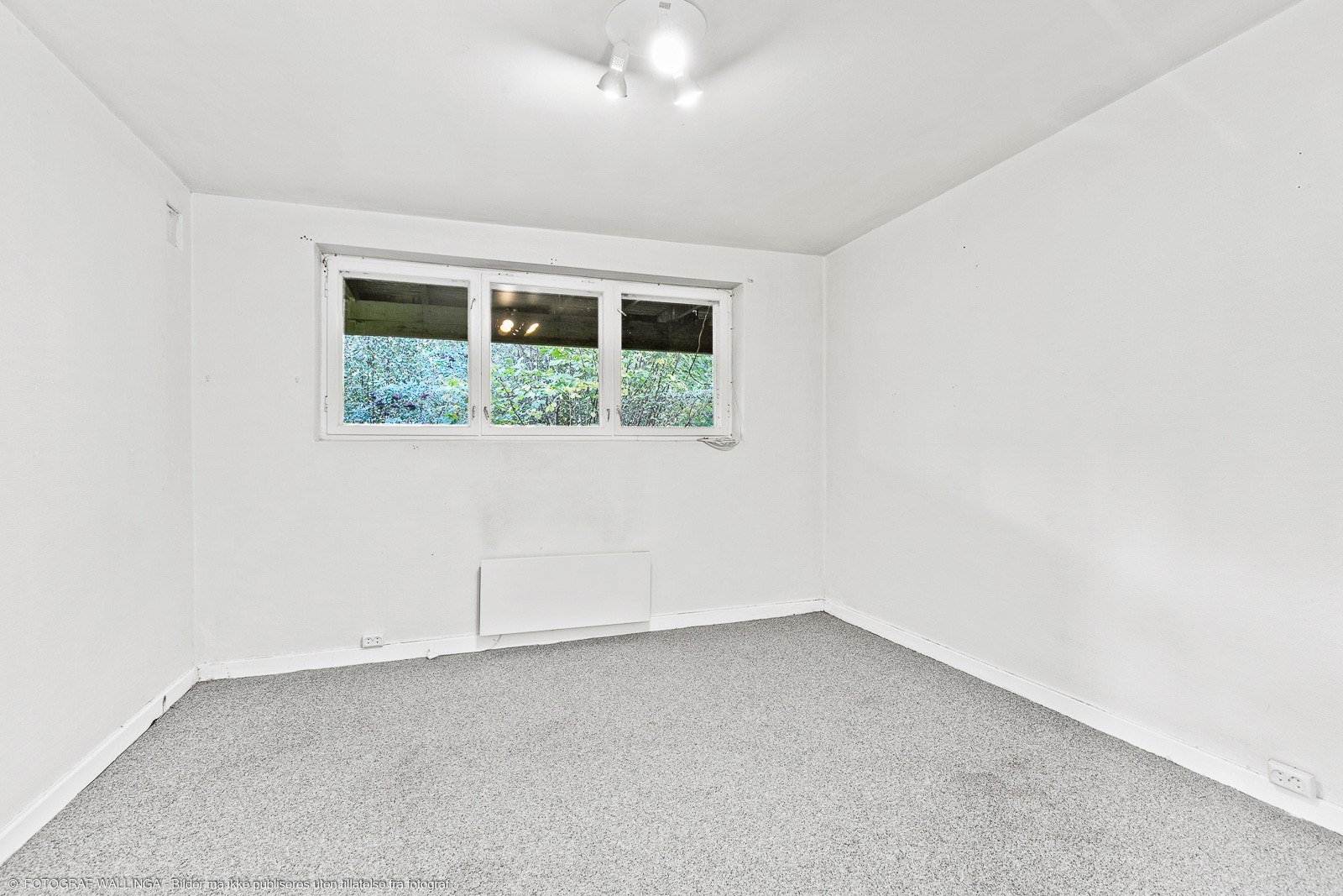 Kjellerrom Galleribilde