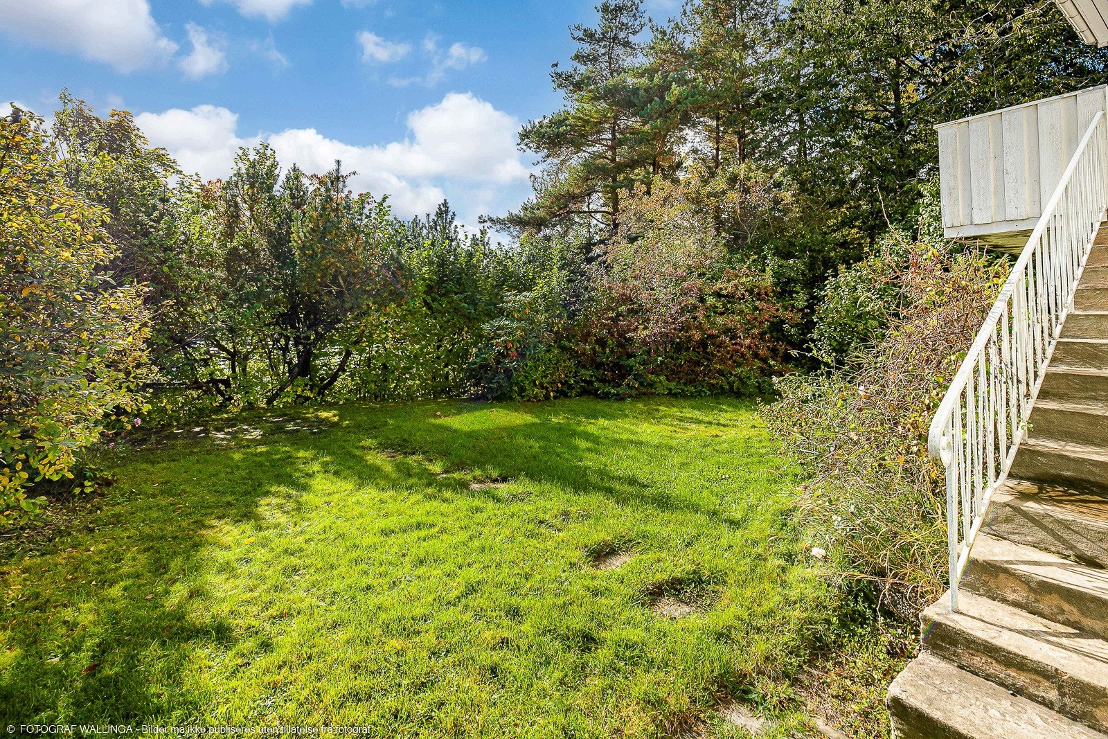 Stor hage Galleribilde