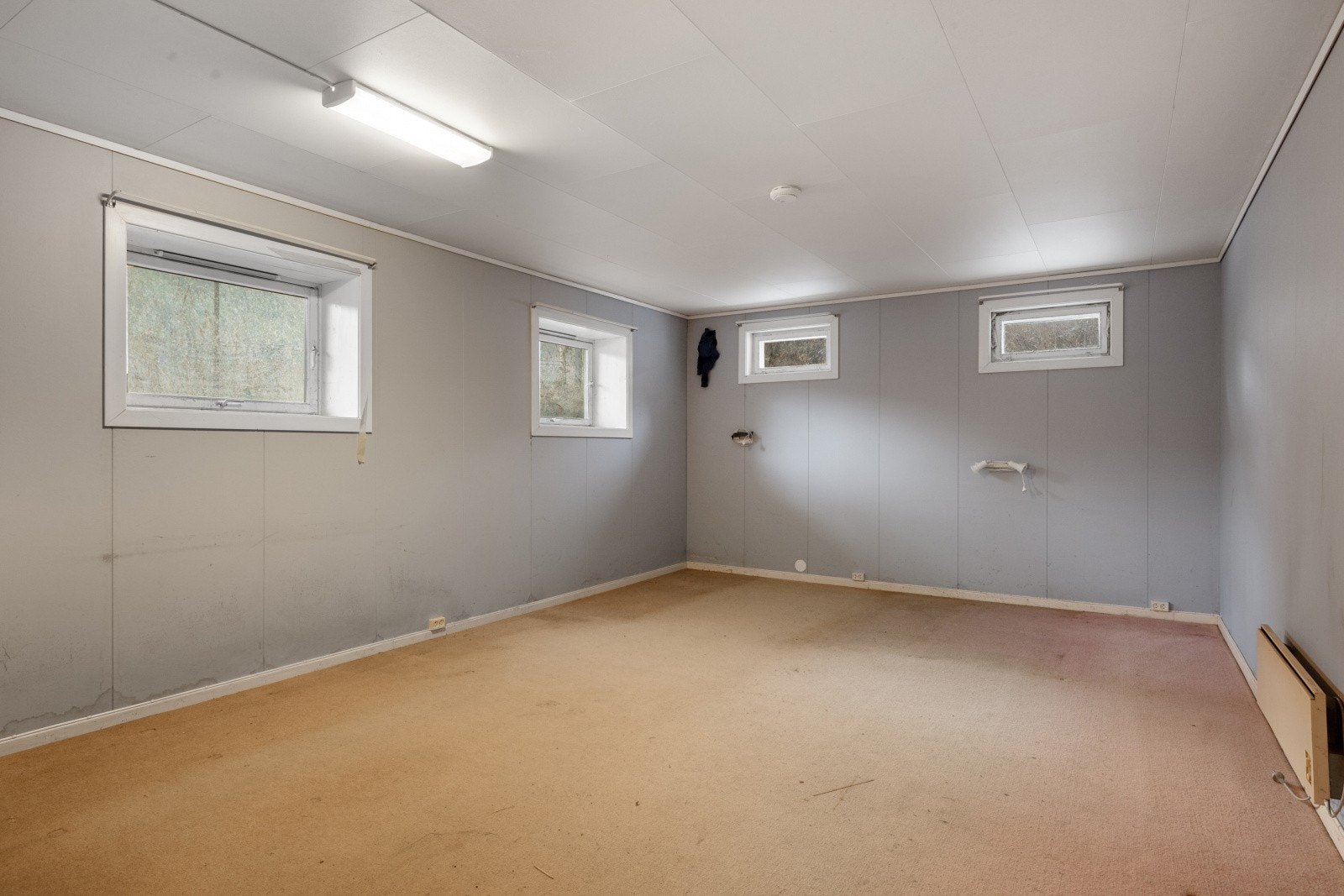 Rom i kjeller Galleribilde