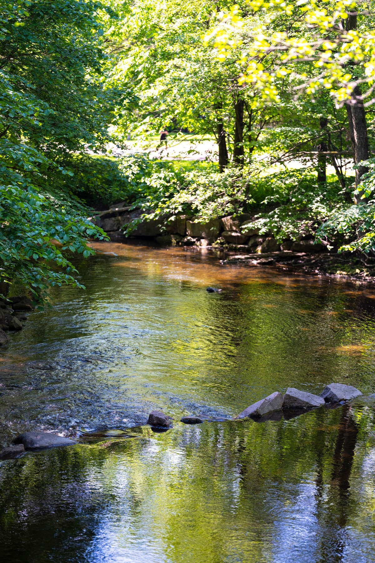 En kort spasertur i fine omgivelser langs Akerselva og du ender opp på Grünerløkka eller Frysja. Galleribilde