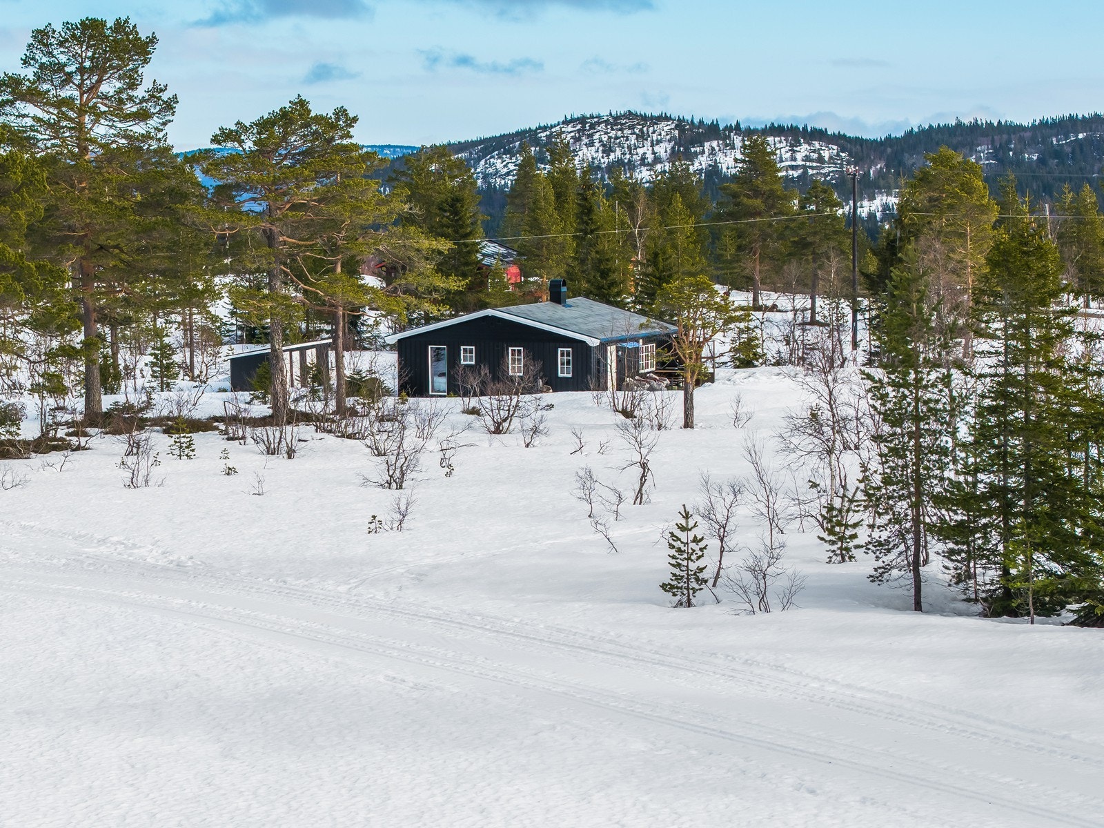 Skiløypene passerer rett vest for hytta Galleribilde