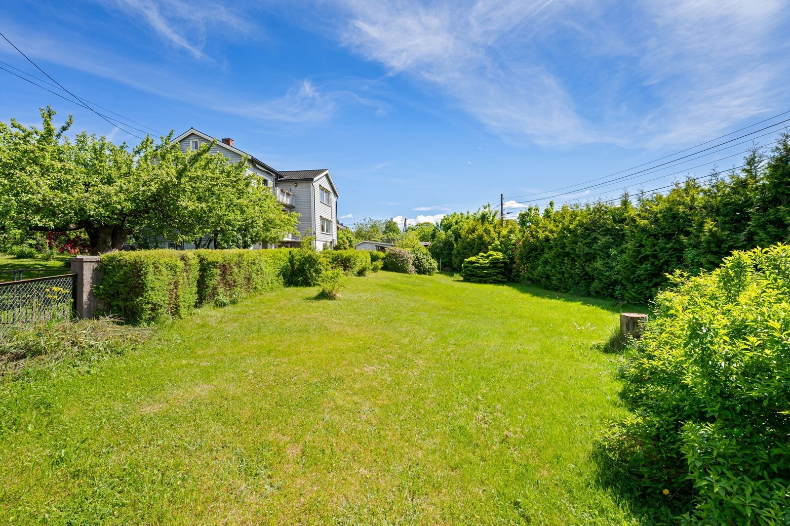 Tomten er pr. d.d. opparbeidet med gress og annen vegetasjon. Galleribilde