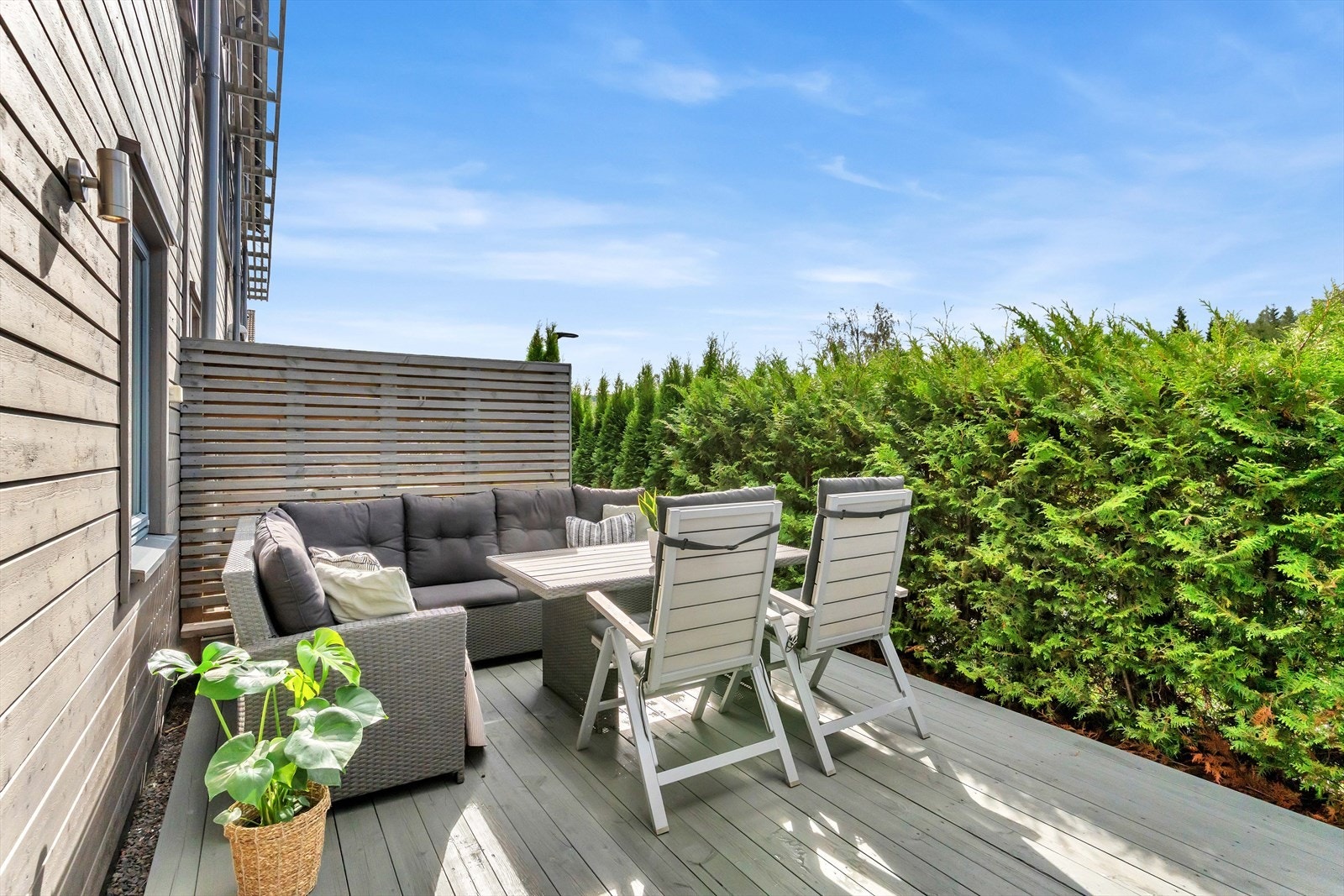 Skillevegg og tujahekk skjermer for både nabo og vei. Galleribilde