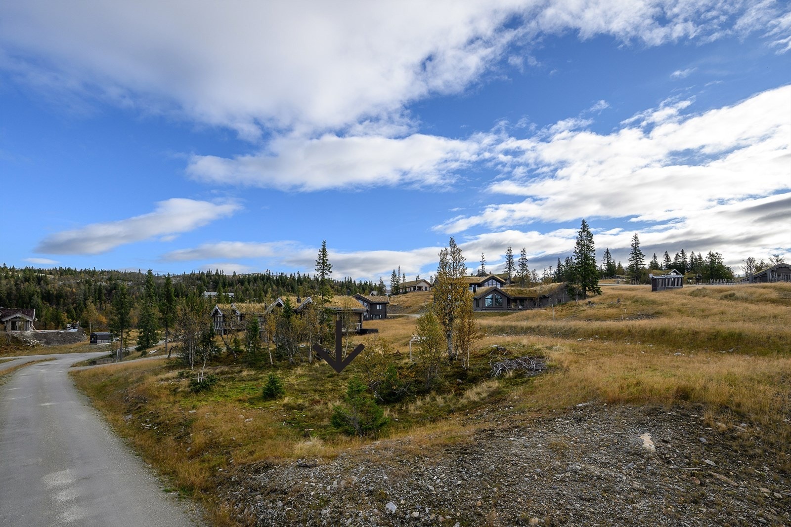 Ta kontakt for visning! Galleribilde