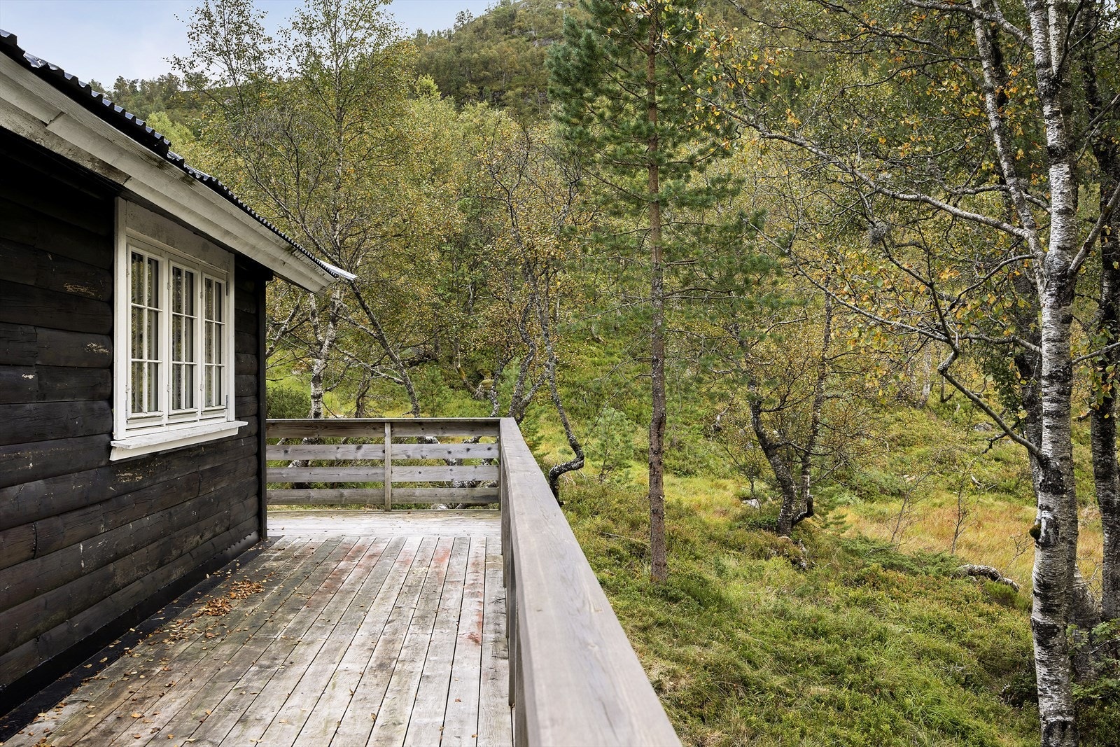 Terrasse rundt deler av hytta. Galleribilde