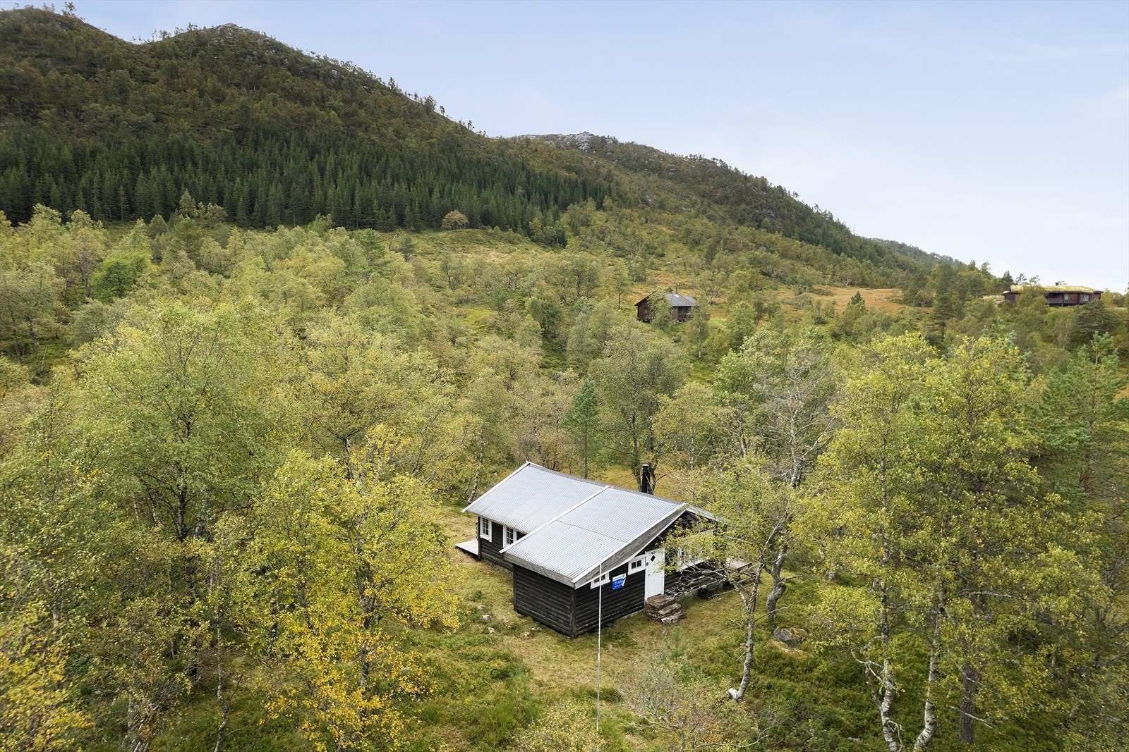 Usjenert fin beliggenhet. Galleribilde