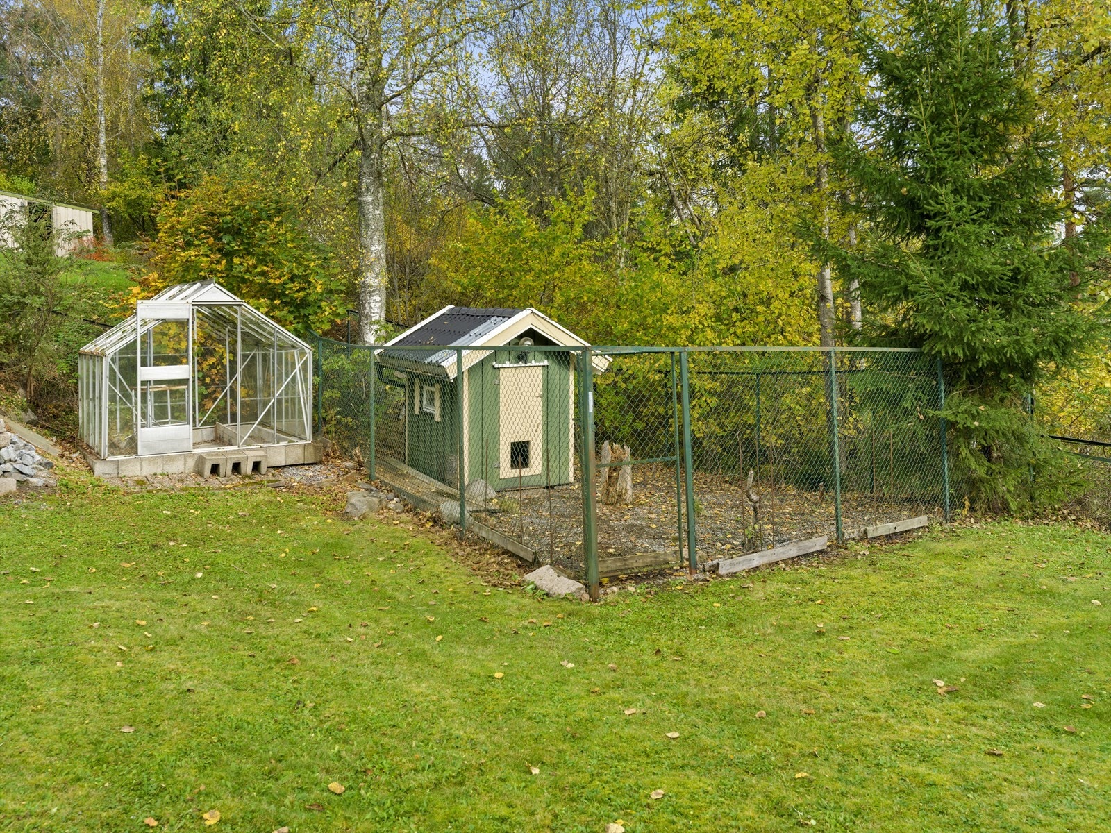 Drivhus, samt inngjerdet hundegård (2 m høy) med isolert hundehus Galleribilde