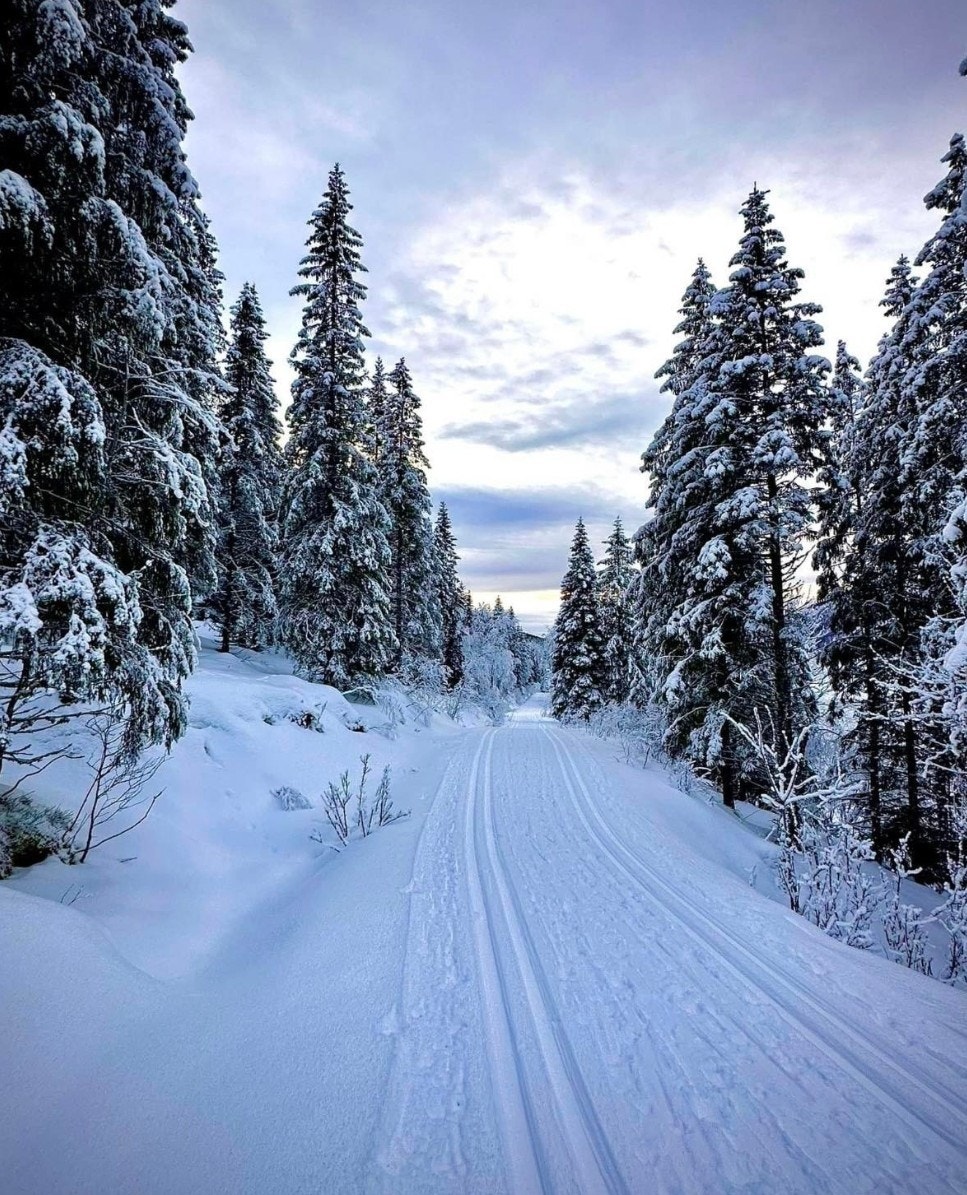 I Mosvolddalen er det flotte preparerte løyper, sommer som vinter. Privat foto. Galleribilde