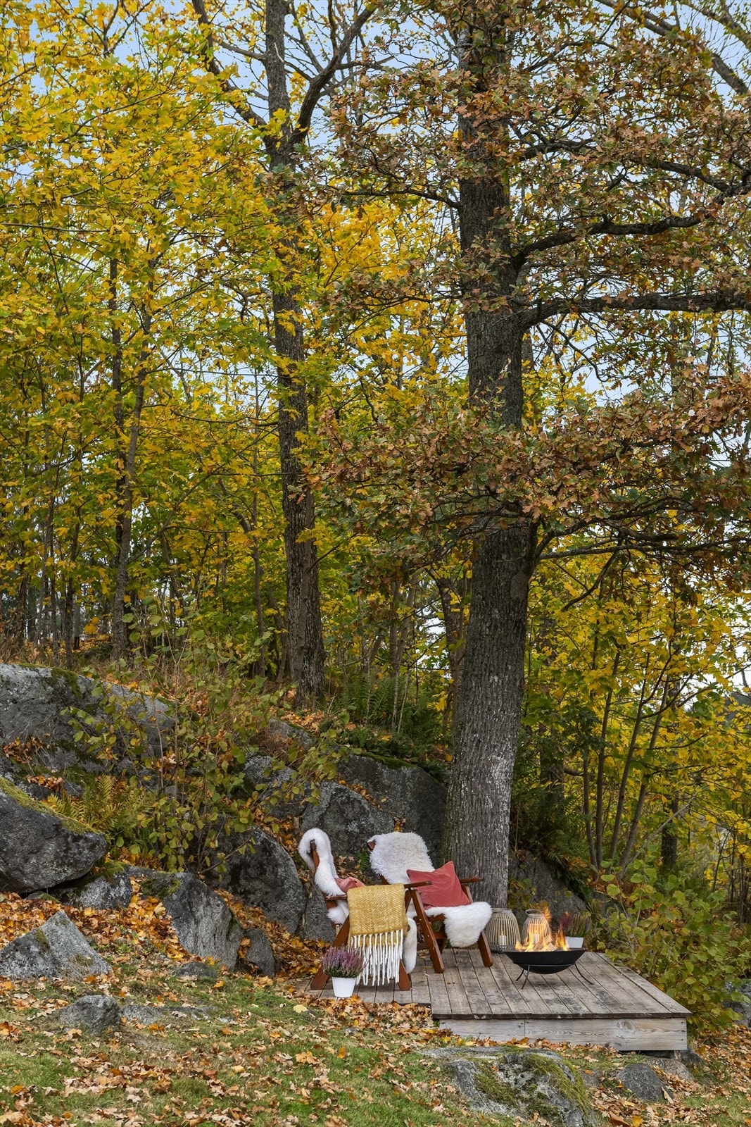 Tomt/uteplass Galleribilde